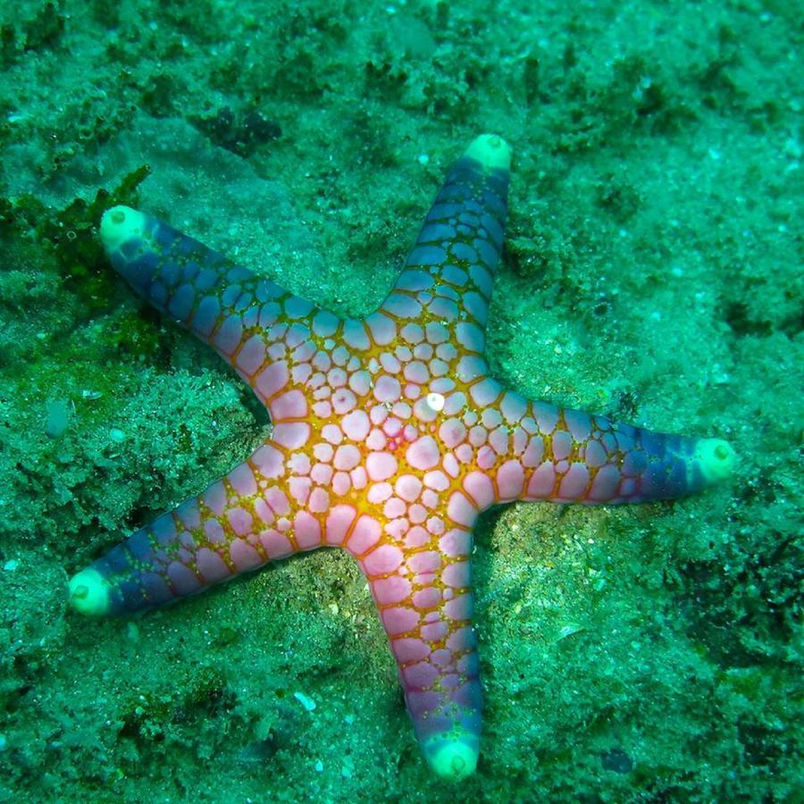 Seadina Coral Home Matara Ngoại thất bức ảnh