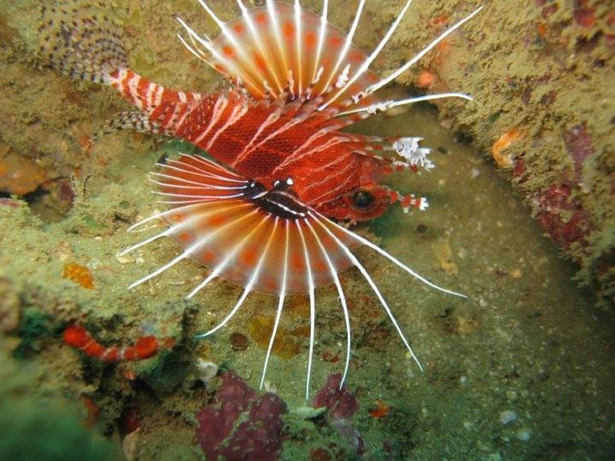 Seadina Coral Home Matara Ngoại thất bức ảnh